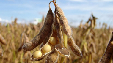 Baja de retenciones costosa para el fisco y poco para la producción