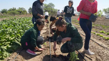 Repensar el campo desde las aulas: educación agraria y soberanía cultural
