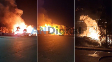 Impactante incendio en un depósito de pallets en Esteban Echeverría