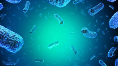 Brote de listeriosis: lo que hay que saber sobre esta enfermedad transmitida por alimentos