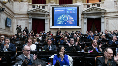 Otra dura derrota para Milei: Diputados anuló el veto a la Emergencia en Discapacidad