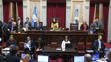 El Senado aprobó la ley de financiamiento universitario y la emergencia en pediatría