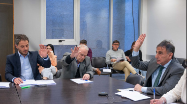 Avanza el proyecto que jerarquiza la profesión de los acompañantes terapéuticos