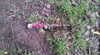 Se defendió de un robo en Morón y mató al ladrón con la cuchilla con la que lo había atacado
