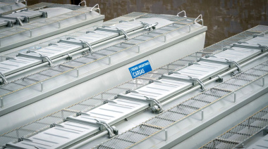 Arribaron al Puerto de Buenos Aires 90 vagones cerealeros