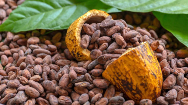 Día Internacional del Chocolate: los destinos más dulces para viajar