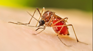Comienza la campaña de vacunación contra el dengue en toda la provincia de Buenos Aires