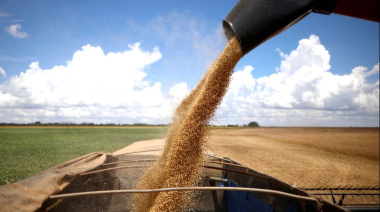 CARBAP tiró la bronca: “Ningún beneficio para los productores, un negocio para exportadores”