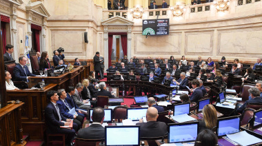 El Senado trata los vetos al Financiamiento Universitario y la Emergencia Pediátrica