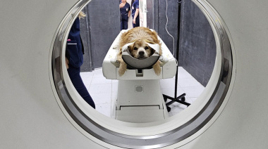 Otro hito de la universidad pública: tomógrafo computado en Veterinaria