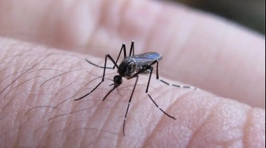 Médicos bonaerenses alertan por el dengue y piden un plan nacional para prevenir una epidemia