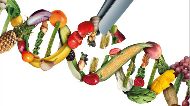 No vives de ensalada: el ADN influye en el peso y en las enfermedades