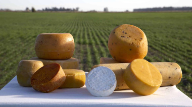 Suipacha Gourmet, experiencia única en la cuenca quesera bonaerense