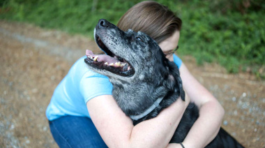 Medicina preventiva: clave para el bienestar de nuestras mascotas