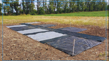 Probada eficacia de la radiación solar para reducir aparición de malezas