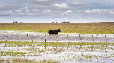 Eximen del Inmobiliario Rural a los campos de 19 distritos afectados por inundaciones