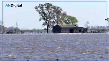 Eximen del Inmobiliario Rural a los campos de 19 distritos afectados por inundaciones