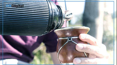 Las ventas de yerba mate cerraron el tercer trimestre con casi 250 M de kilos