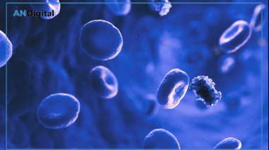 Descubren mecanismo que podría proteger a las células que producen insulina