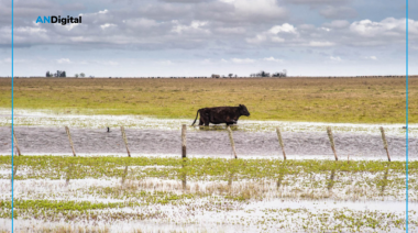 Dramático: Hay casi 6 millones de hectáreas afectadas por el agua