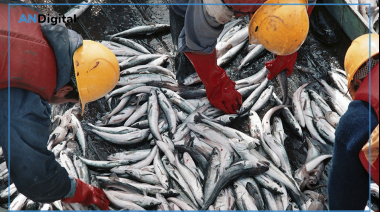 Leve repunte de la economía en septiembre