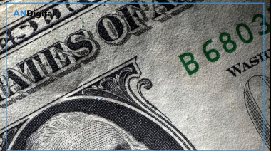 Redrado pidió “normalidad cambiaria”