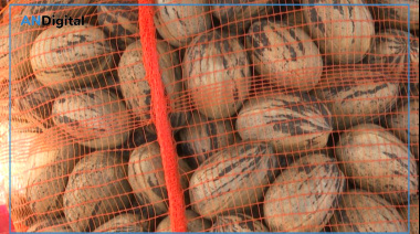 Primera exportación de 20 toneladas de nuez pecán de Argentina a China