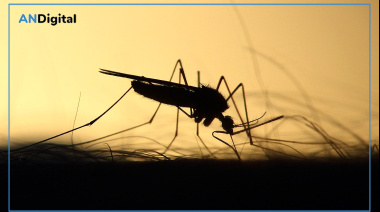 La fiebre amarilla vuelve a encender alarmas en la región