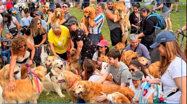 Ola Dorada en Palermo: miles de Golden Retriever lograron un nuevo récord mundial en Buenos Aires