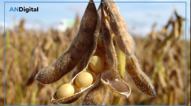 Caputo anunció una nueva baja de retenciones