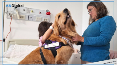 Los perros que desparraman juegos y amor en el Hospital de Niños de La Plata