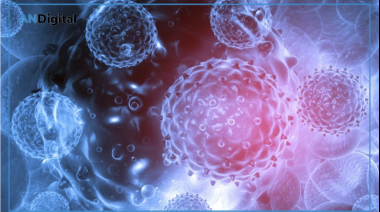 Alertan por un nuevo brote de gripe en Europa: La variante H3N2