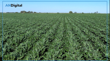 Sin euforia, la Sociedad Rural destacó la nueva baja de retenciones