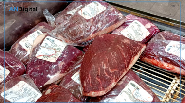 Desbaratan banda que robó en Zárate un camión con carne para exportación