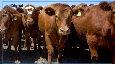 La certificación europea en bienestar animal llegó a nuestro país