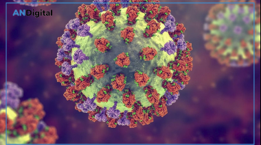 Cuáles son las recomendaciones sanitarias ante la nueva gripe H3N2