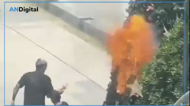 Militantes ligados a Grabois protestaron en Lanús y hasta quemaron un árbol de Navidad