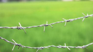 Productor denunció presunta estafa con tierras fiscales y apuntó a Toviggino