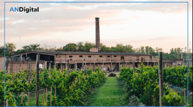“De las ruinas sólo queda renacer”: la chimenea que alumbró un viñedo