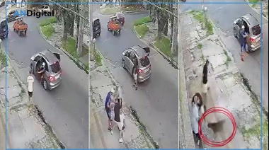 Un perrito héroe salvó a un hombre que era atacado por delincuentes pirañas en Lanús