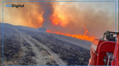 Sistemáticos incendios en el sur bonaerense: CARBAP reclama “planificación preventiva”