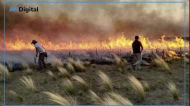 CARBAP estima cerca de 90.000 hectáreas arrasadas y denuncia falta de mantenimiento en rutas