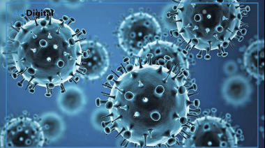 Aumentaron los casos de gripe H3N2 en Argentina