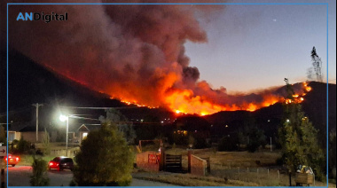 Más de 4 mil hectáreas arrasadas por el fuego: exigen “acciones firmes”