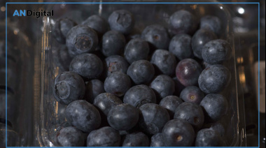 Acuerdo con la UE: Frigerio ponderó el impacto particular para su provincia