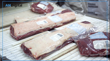 El campo celebra el acuerdo Mercosur-UE: “Nuestra oferta es súper competitiva”