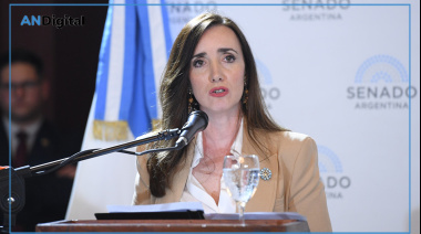 ¿Tiro por elevación?: Villarruel alzó la voz por la Patagonia