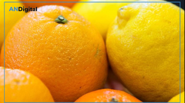 Mejoran condiciones para exportación de cítricos argentinos a Japón