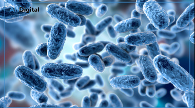 Operativo de bloqueo en Olavarría por un caso sospechoso de coqueluche