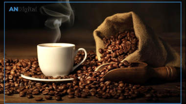 ¿Es el café la bebida más saludable qué existe?